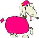 Pet Clipart