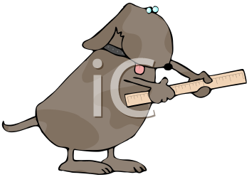 Pet Clipart