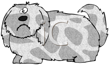 Pet Clipart