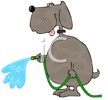 Dog Clipart