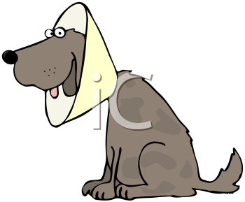 Pet Clipart