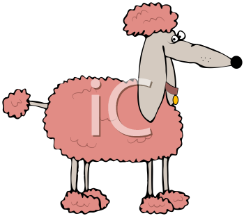 Pet Clipart