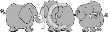 Mammal Clipart