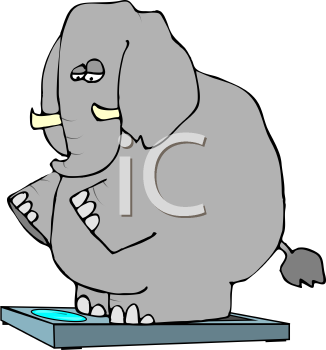 Mammal Clipart