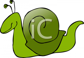 Mollusk Clipart