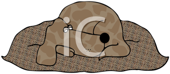 Pet Clipart