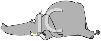 Mammal Clipart