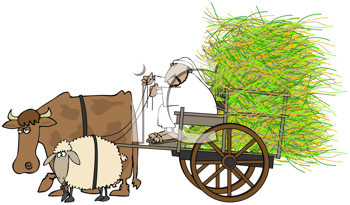 Farm Animal Clipart