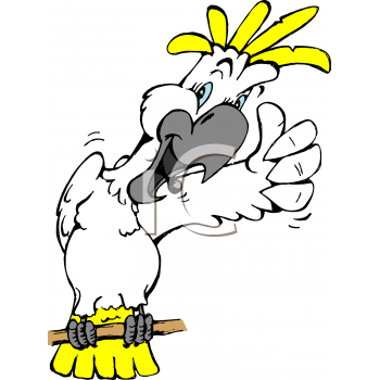 Bird Clipart