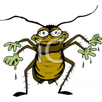 Insect Clipart