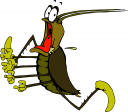 Insect Clipart