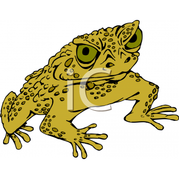 Amphibians Clipart