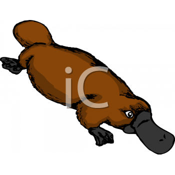 Animal Clipart