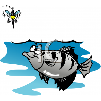 Insect Clipart