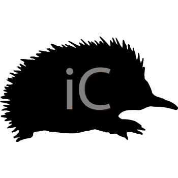 Animal Clipart