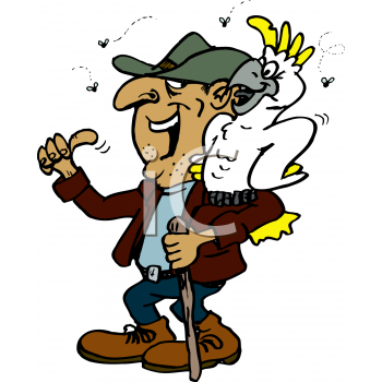 Insect Clipart