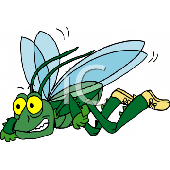 Insect Clipart