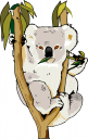 Marsupial Clipart