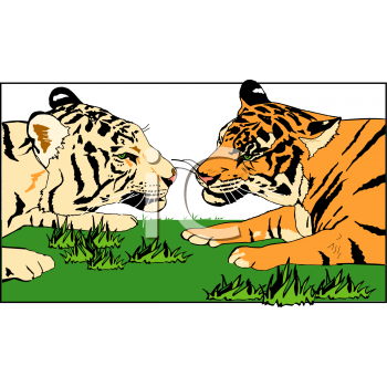 Big Cat Clipart