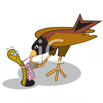 Invertebrates Clipart