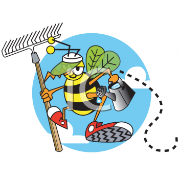 Insect Clipart
