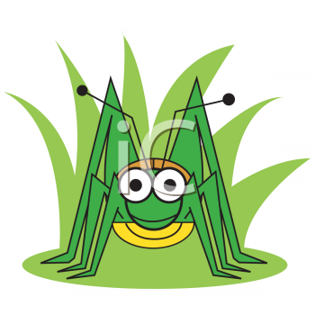 Insect Clipart