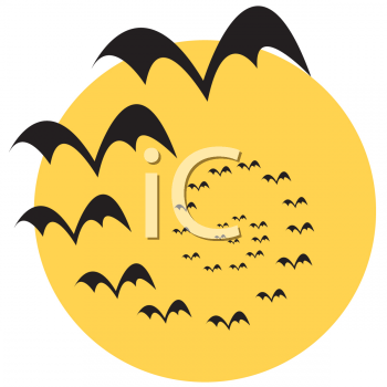 Insect Clipart