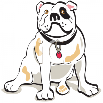 Pet Clipart