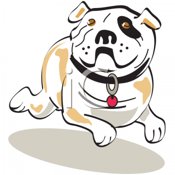 Pet Clipart