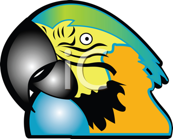 Bird Clipart