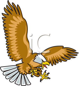 Insect Clipart