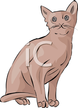 Pet Clipart