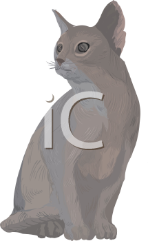 Pet Clipart