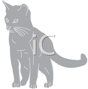 Pet Clipart