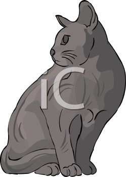 Pet Clipart