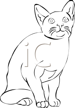 Pet Clipart