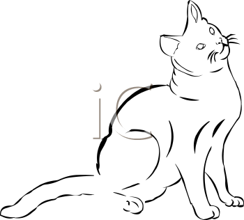 Pet Clipart