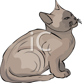 Pet Clipart