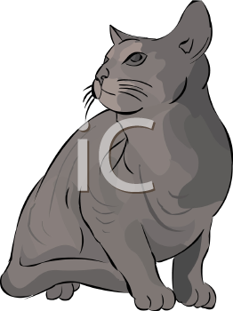 Pet Clipart