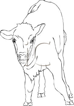 Buffalo Clipart