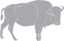 Buffalo Clipart