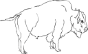 Buffalo Clipart