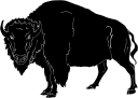 Buffalo Clipart