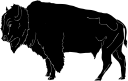 Buffalo Clipart
