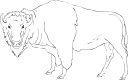 Buffalo Clipart
