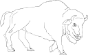 Buffalo Clipart