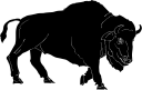 Buffalo Clipart