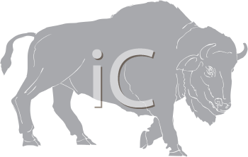 Buffalo Clipart