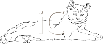 Pet Clipart