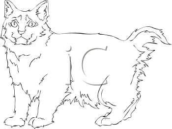Pet Clipart